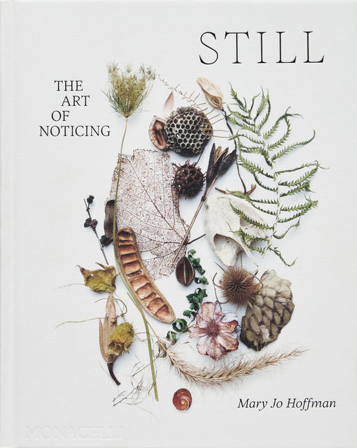 Still: The Art of Noticing Monacelli Press